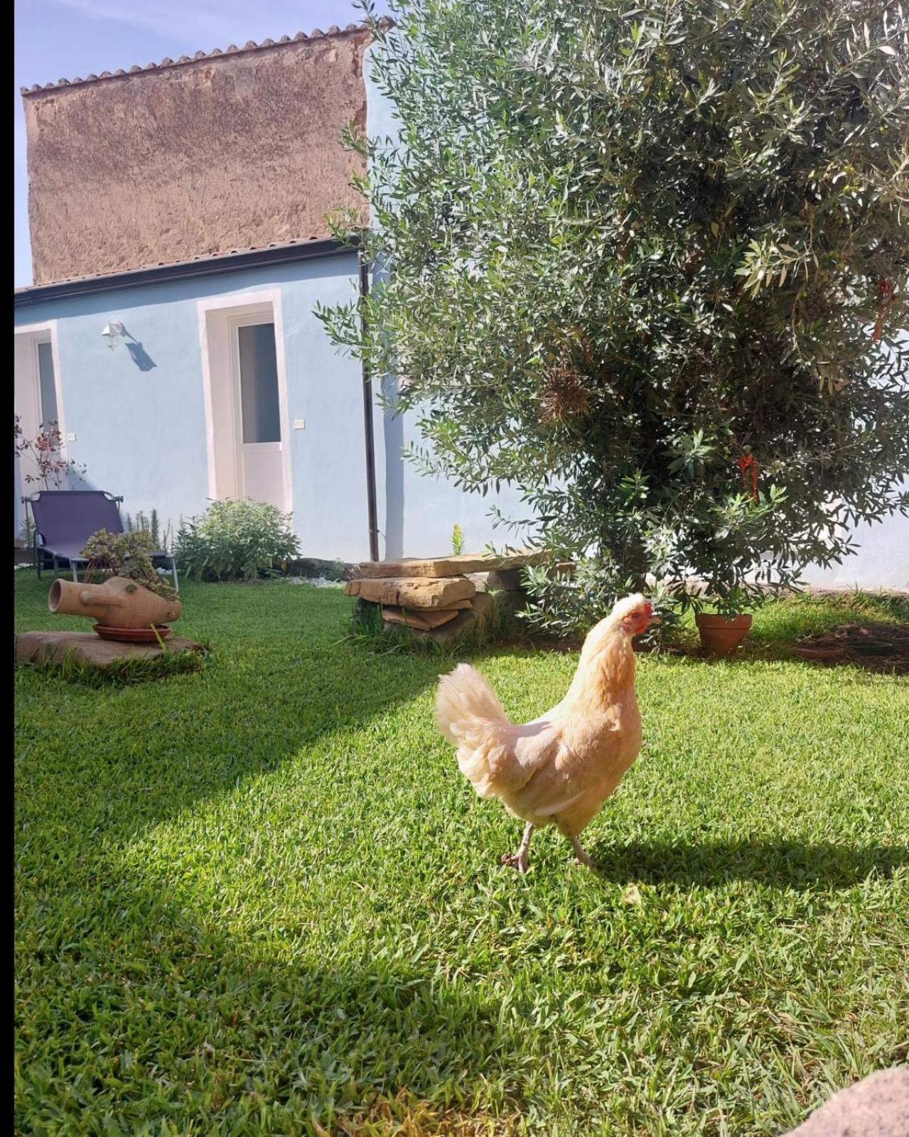 B&B Il Borgo Delle Emozioni Dolianova 外观 照片